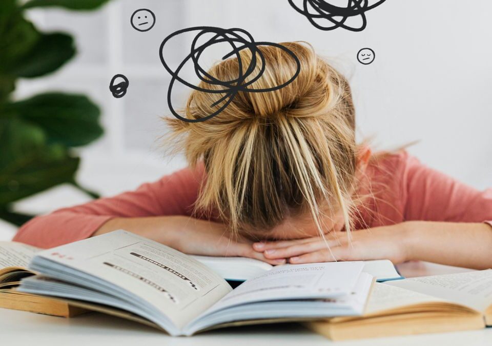 Viva Desenvolvimento